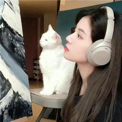 悬疑推理片